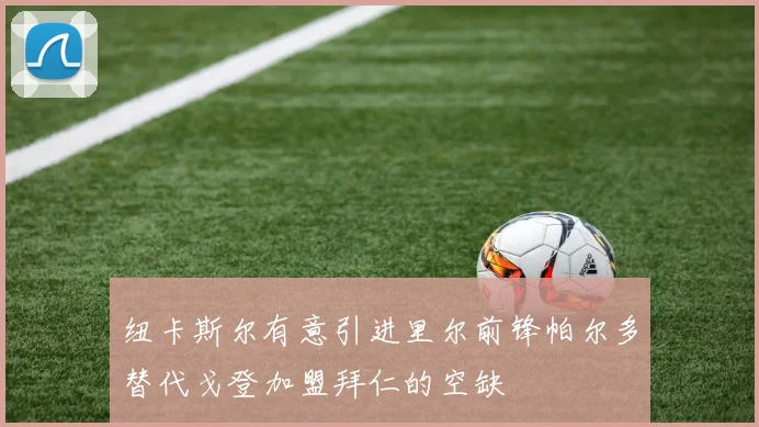 纽卡斯尔有意引进里尔前锋帕尔多替代戈登加盟拜仁的空缺