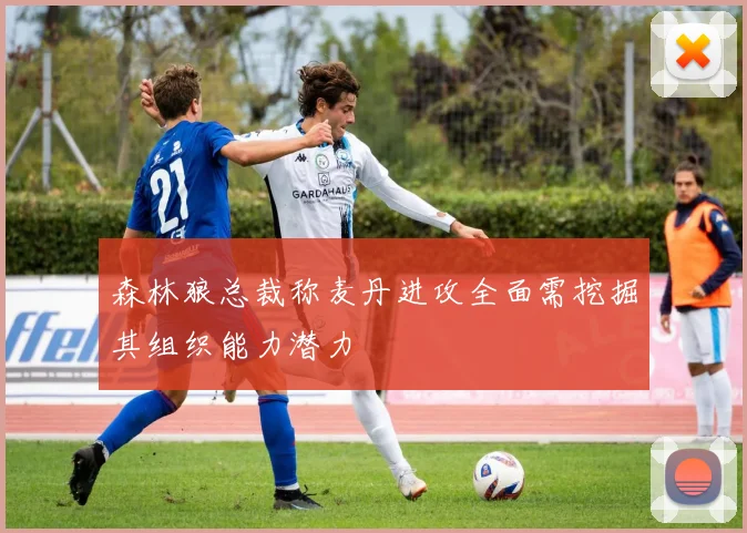 森林狼总裁称麦丹进攻全面需挖掘其组织能力潜力